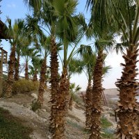 Gerusalemme, Gerico, Mar Morto e fiume Giordano